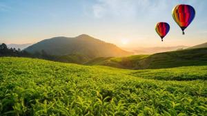 Sunshine Resort & Spa Sigiriya