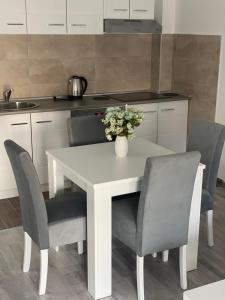 Apartmani Milić Banja Koviljača