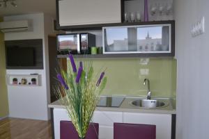 Apartments Zadar 4 You