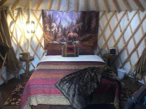  Queen Yurt-Grizzly Grotto with Shared Bathroom