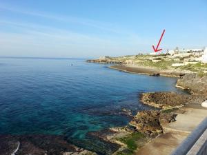 Apartamento - Planta baja