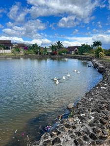 La Rosalia, tu casa en Los Molinos, Boquete, Pmá