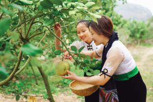 Ngô Gia Trang Farmstay Mộc Châu - Venue Travel