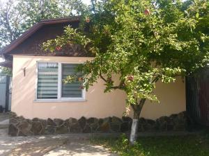 Apartments with kitchen and garden