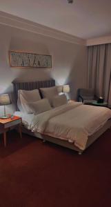 فندق ايون -الندى Ion Hotel