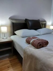 Apartmani Radulović - 索科矿泉村