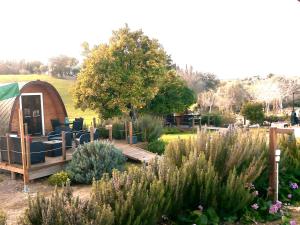 The Gold Pod, relax and enjoy on a Glamping house
