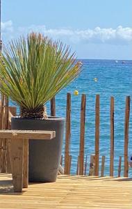 Mariana Plage