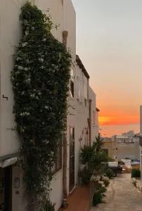 Isoladelmiele - Marettimo