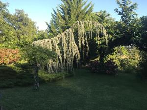 Villas Luxury family villa in the heart of Gascony. Large pool & gorgeous view : photos des chambres