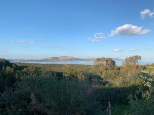 Cuile Nanni D'Oro img27