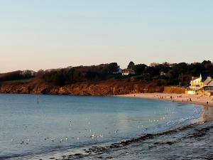 Appartements L'elephant Blanc de ConcarnOLoc : photos des chambres