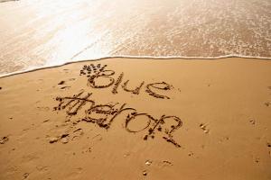 Blue Heron Boutique Motel