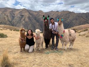ALPACA LODGE & EXPLORATIONS
