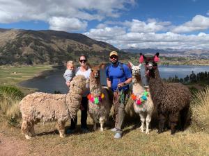 ALPACA LODGE & EXPLORATIONS