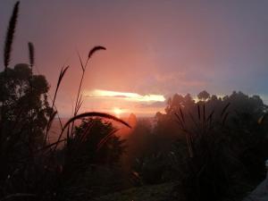 Hotel Natura Cocora