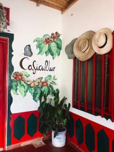 Caficultur -Alojamiento Rural