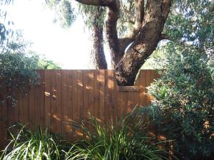 Sandhurst Escape 2 17