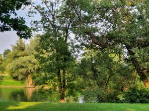 GM House, mobile house near Kolpa river 