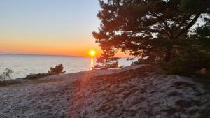 Camping Kormoran #Hel Przyczepa nr 3 premium