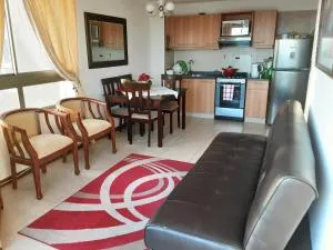Departamento Atlántico Viña Del Mar - Ольмуе