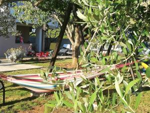 Apartment in Zaton Zadar with terrace air conditioning WiFi washing machine 4830 4