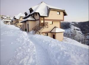 Apartmani Krstojević Kopaonik