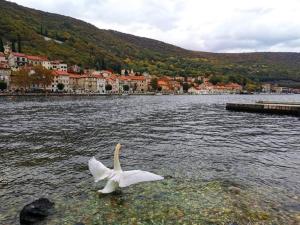 Studio-apartman Dejan 