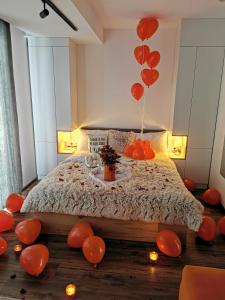 Apartmani TIM & SPA CENTAR