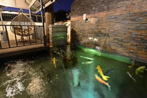 Milner House Kimberley