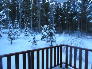 Flora Violet Studio Apartment nr 10