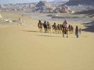 Elysium resort in Bawiti