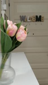 Parque Santiago 1 Studio on the coastline