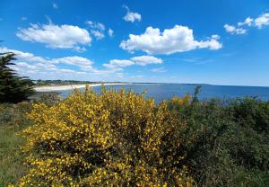 Appartements Studio Kerwood Sud Morbihan vue sur la Vilaine : photos des chambres
