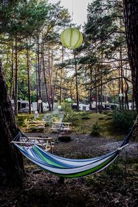 Camping Kormoran #Hel Przyczepa nr 11 premium