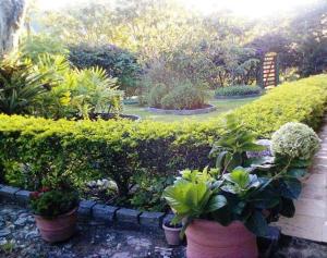 Sítio São Gerardo - Aconchegante casa no campo.