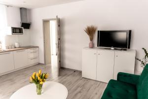 Apartament pod lasem