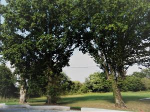 Maisons de vacances Jolie longere pres Canal Nantes-Brest ' Petanque : photos des chambres