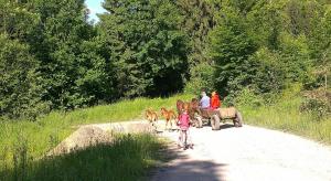 Csendes Bükk 2 Kulcsosház