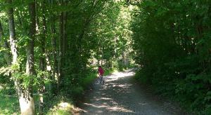 Csendes Bükk 2 Kulcsosház