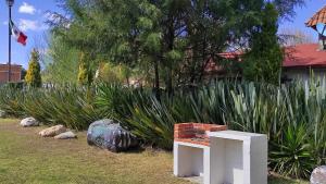 Cabañas los cactus 2