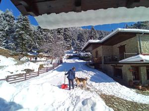 Τα Πέτρινα της Ελάτης - Petrina Elatis