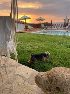 Posada del Mar Vichayito