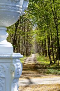 Hotels Les Hauts de Loire : photos des chambres