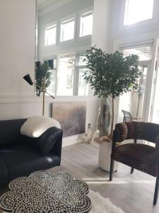 CLOUD NINE - Elegance & Comfort