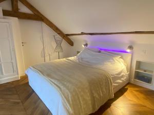 Appartements Loft dans le clocher face au chateau : photos des chambres