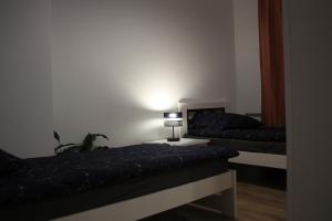 Apartament Gwiazda Muszyna Centrum