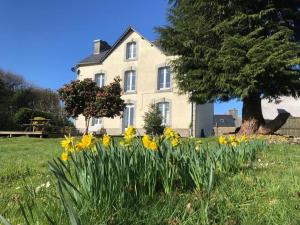 Maisons de vacances Anaya Cottages : photos des chambres