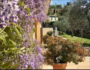 Bilocale Colline di Bardolino 1