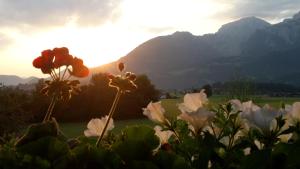 Ferienwohnung Grünsteineck